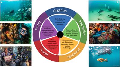 Frontiers A deeper dive into the blue economy: the role of the diving